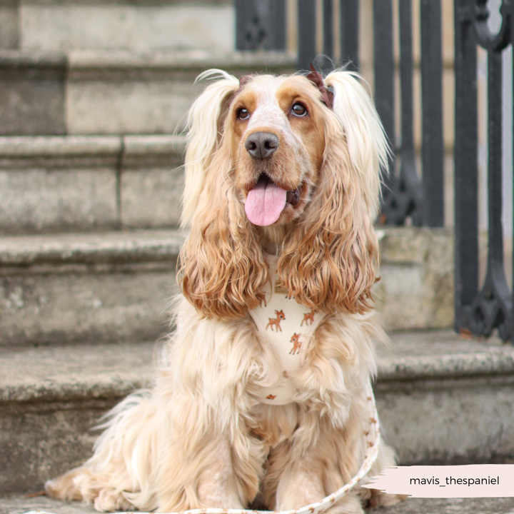 Fleecy Fawn Adjustable Neck HARNESS