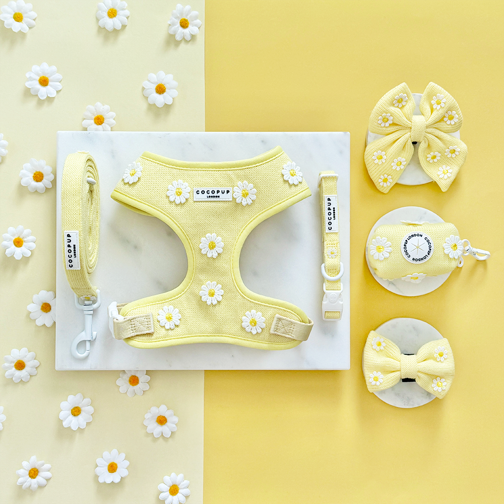 Buttercup Pup COLLAR