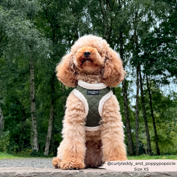 Khaki Quilted Adjustable Neck Harness