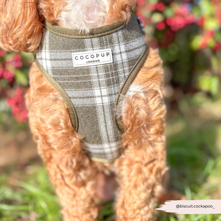 Olive Check Adjustable Neck HARNESS