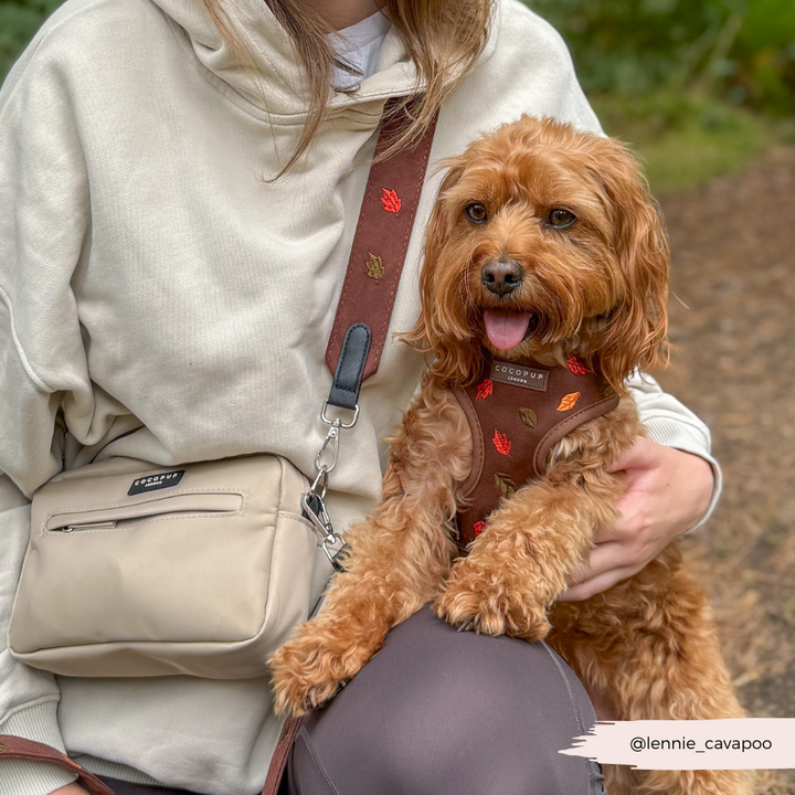 Bag Strap - Pawtumn Leaves