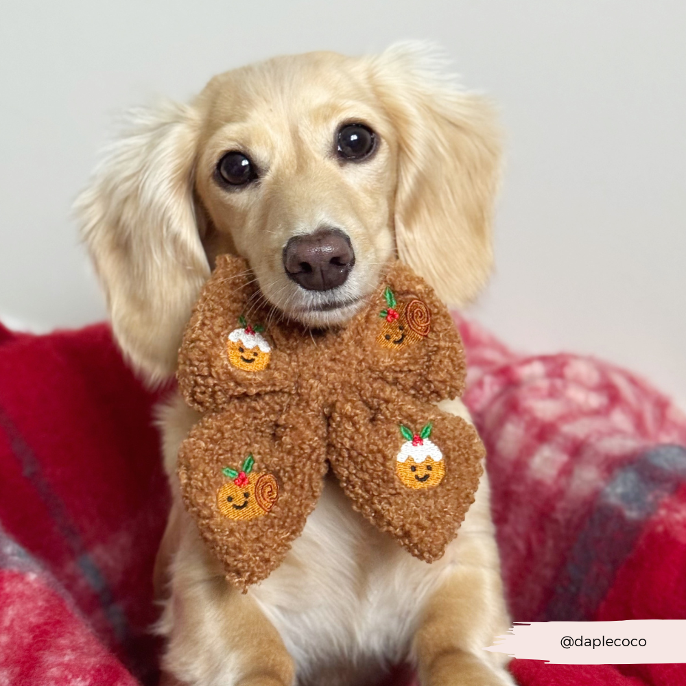 Festive Pudding Pup Sailor Bow Tie