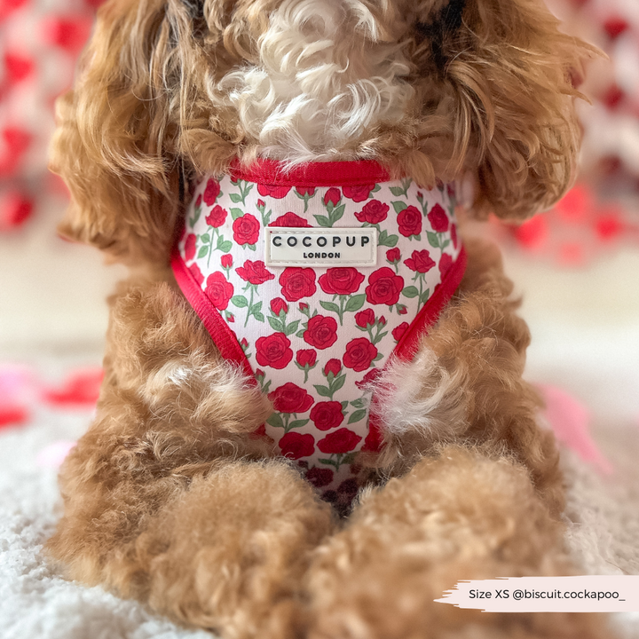 Barkquet of Roses Adjustable Neck Harness