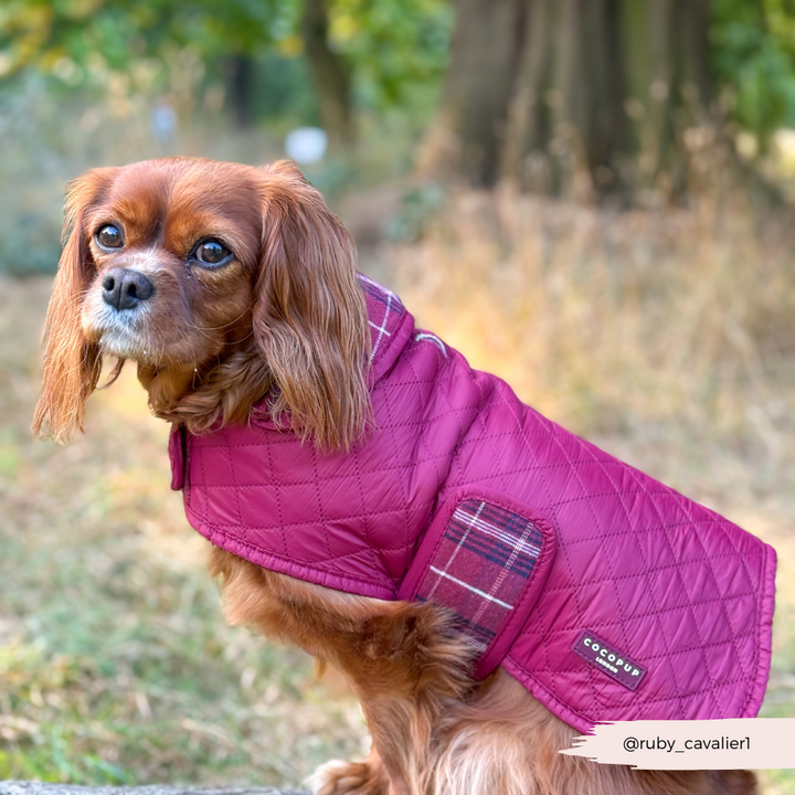 PERSONALISED Quilted Dog Coat - Mulberry Plaid