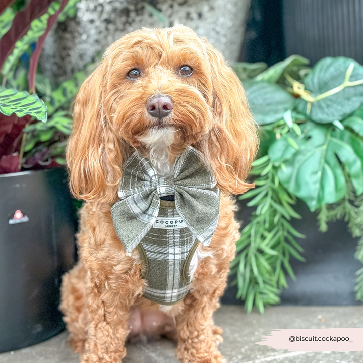 Olive Check Adjustable Neck HARNESS