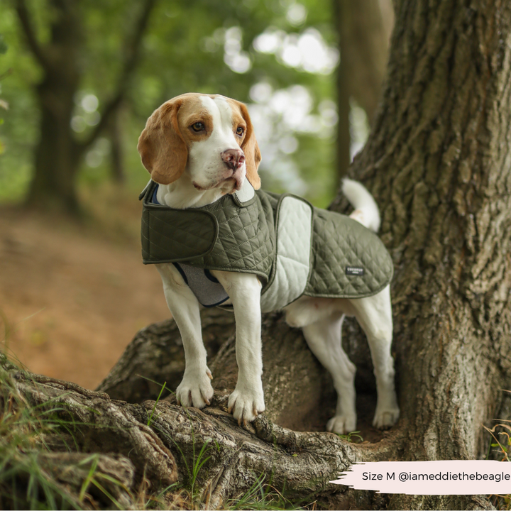 LUXE Quilted Dog Coat - Country Khaki