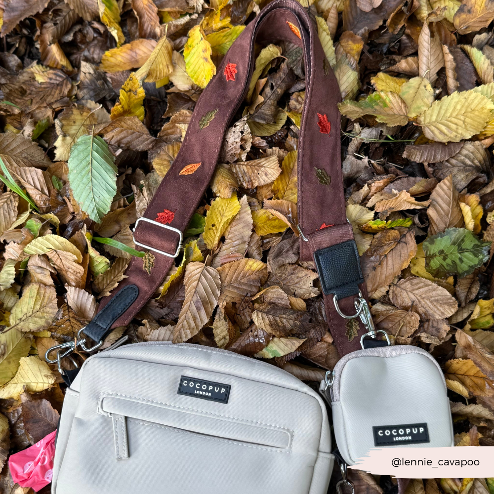 Bag Strap - Pawtumn Leaves