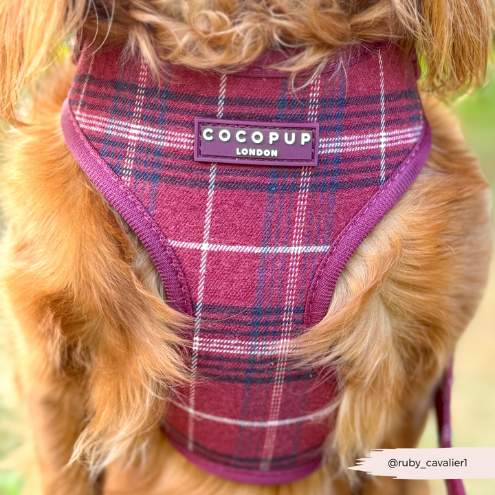 Mulberry Plaid Adjustable Neck HARNESS