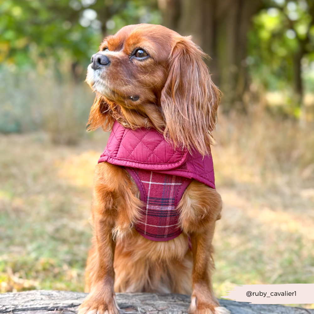 PERSONALISED Quilted Dog Coat - Mulberry Plaid