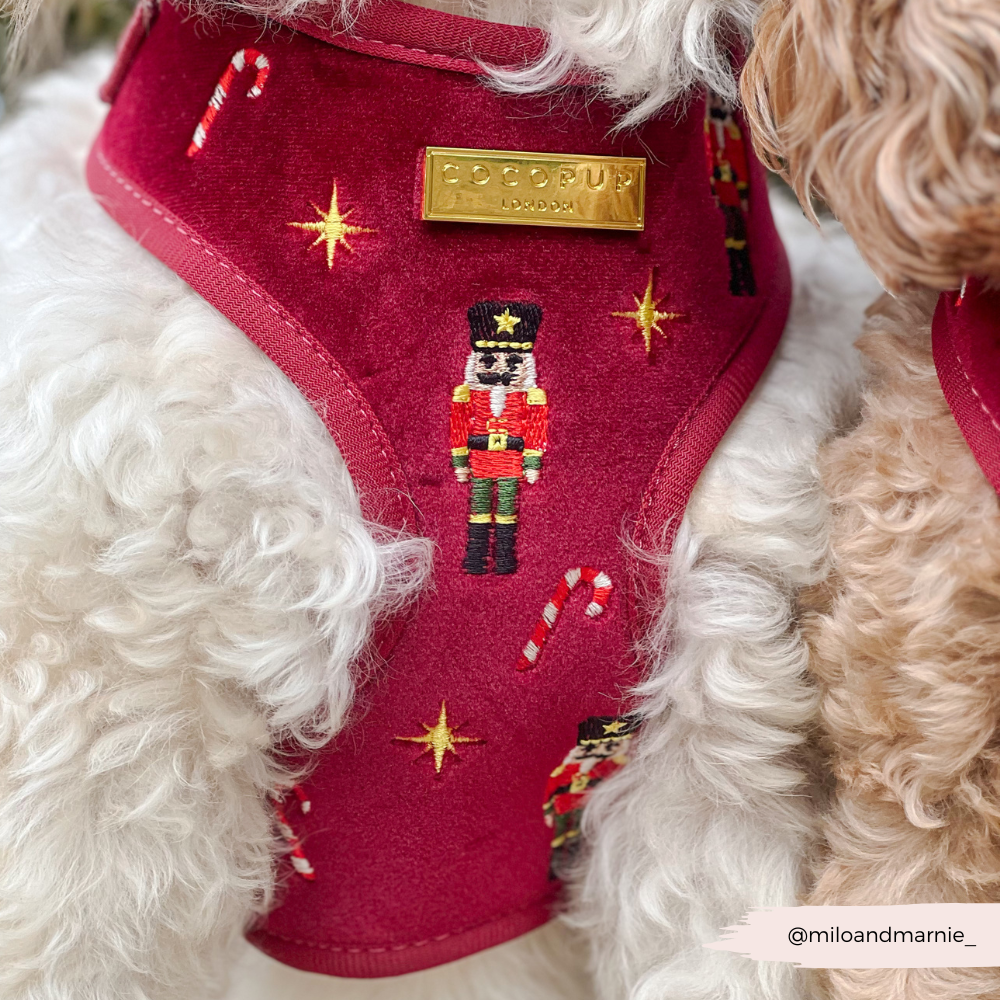 The Muttcracker Adjustable Neck Harness, Lead & Collar Bundle