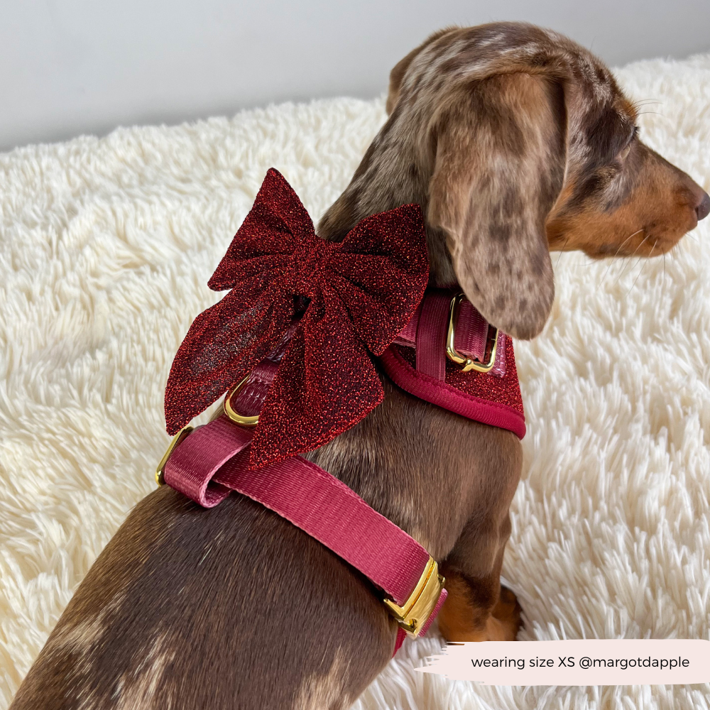 Limited Edition Burgundy Sparkle Pup Sailor Bow Tie