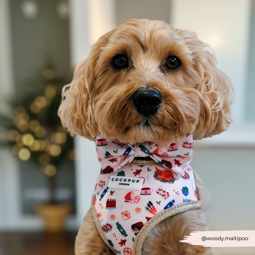 Cracking Christmas Dinner Adjustable Neck HARNESS