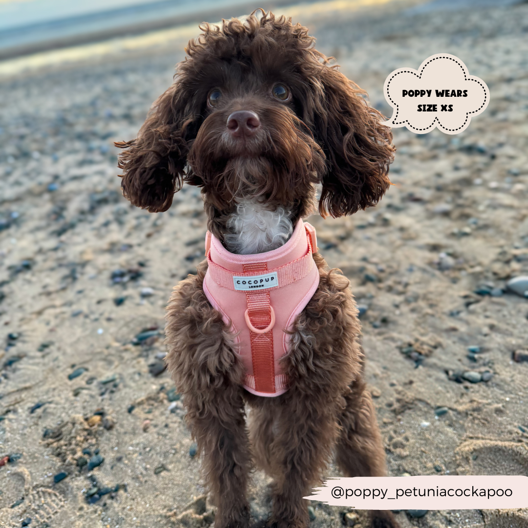 NAKD Adjustable Neck Harness - Peach Floof