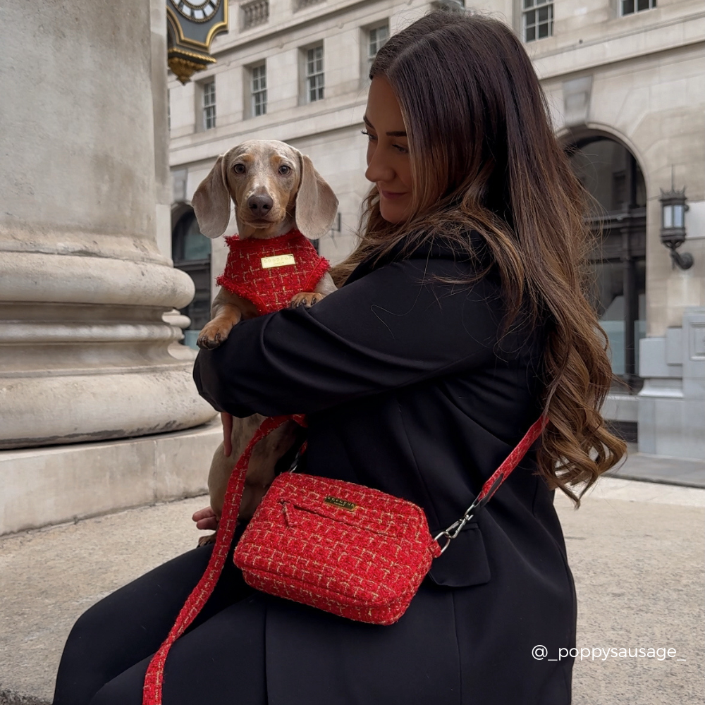 Red Textured Tweed Dog Walking Bag Bundle - Red Textured Tweed