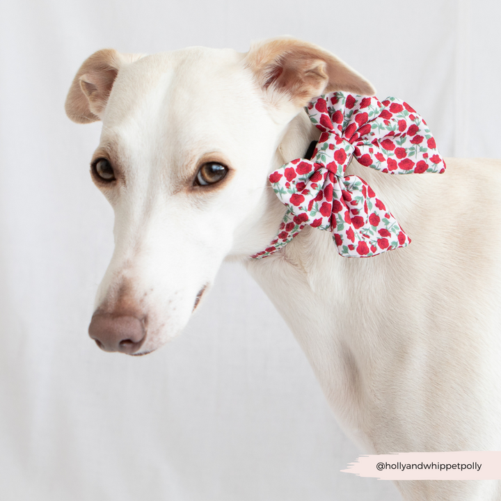 Barkquet of Roses Sailor Bow Tie