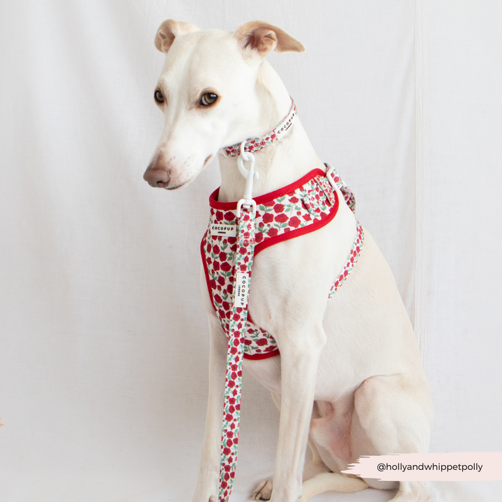 Barkquet of Roses Adjustable Neck Harness