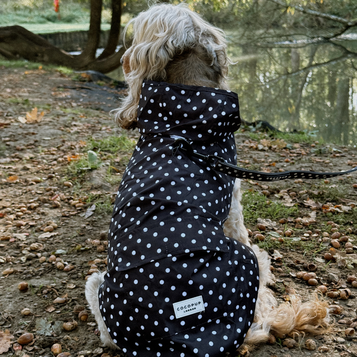 Dog Raincoat - Black Polka Dot