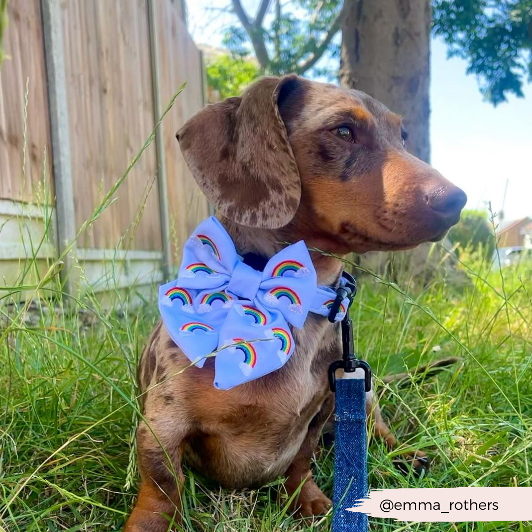 Luxe Over The Rainbow Sailor Bow Tie