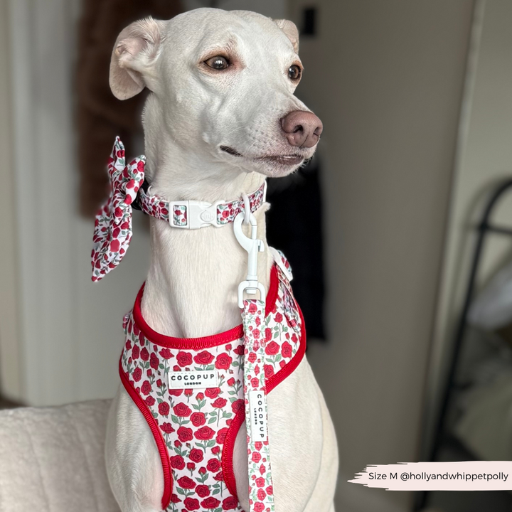 Barkquet of Roses Adjustable Neck Harness