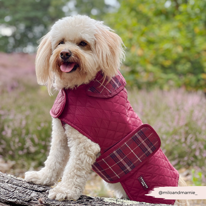 PERSONALISED Quilted Dog Coat - Mulberry Plaid