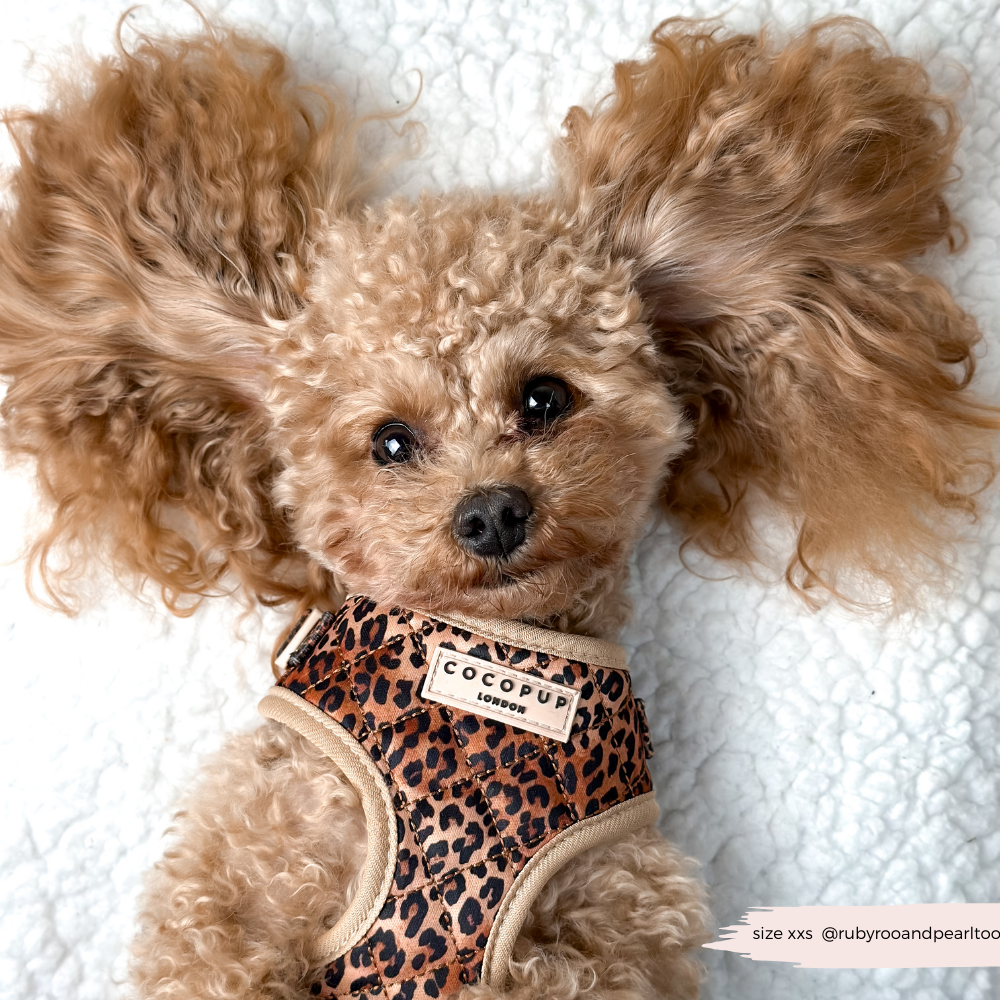 Quilted Leopard Pup Adjustable Neck Harness