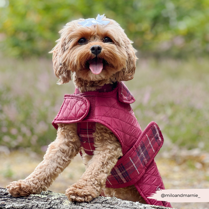 PERSONALISED Quilted Dog Coat - Mulberry Plaid