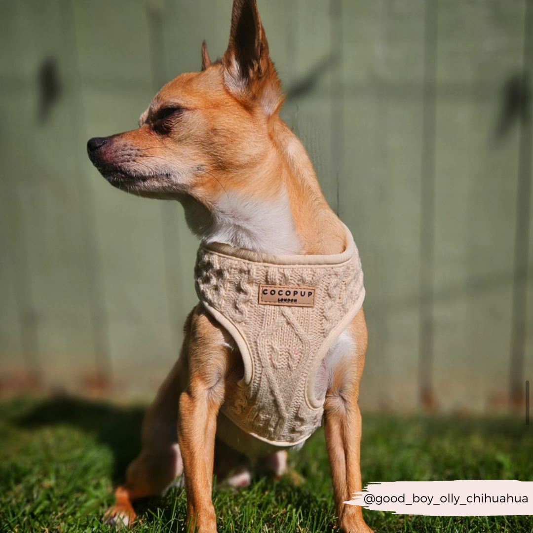 Cable Knit Jumper Adjustable Neck Harness - Toffee Pup Latte