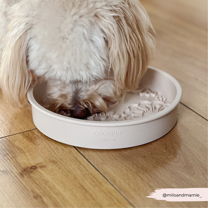 Silicone Slow Feed Dog Bowl - Baby Pink Flowers