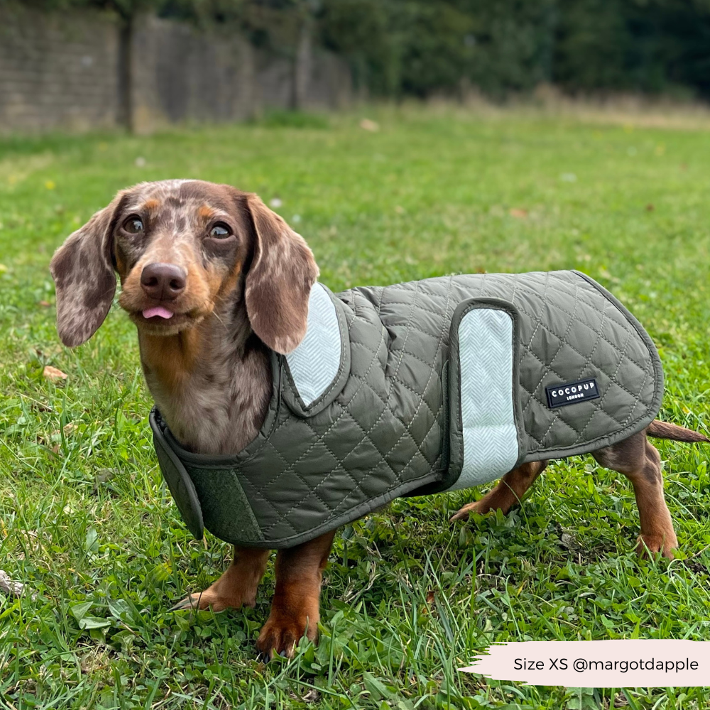 LUXE Quilted Dog Coat - Country Khaki