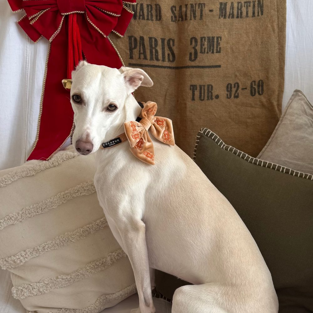 Luxe Velvet Sailor Bow Tie - Gingerbread Treats