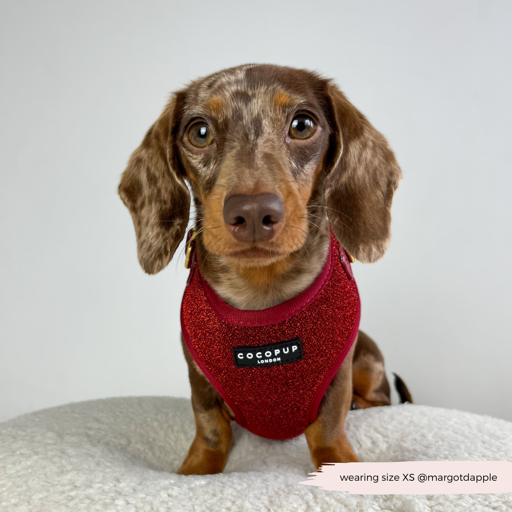 Limited Edition Burgundy Sparkle Pup Adjustable Neck Harness