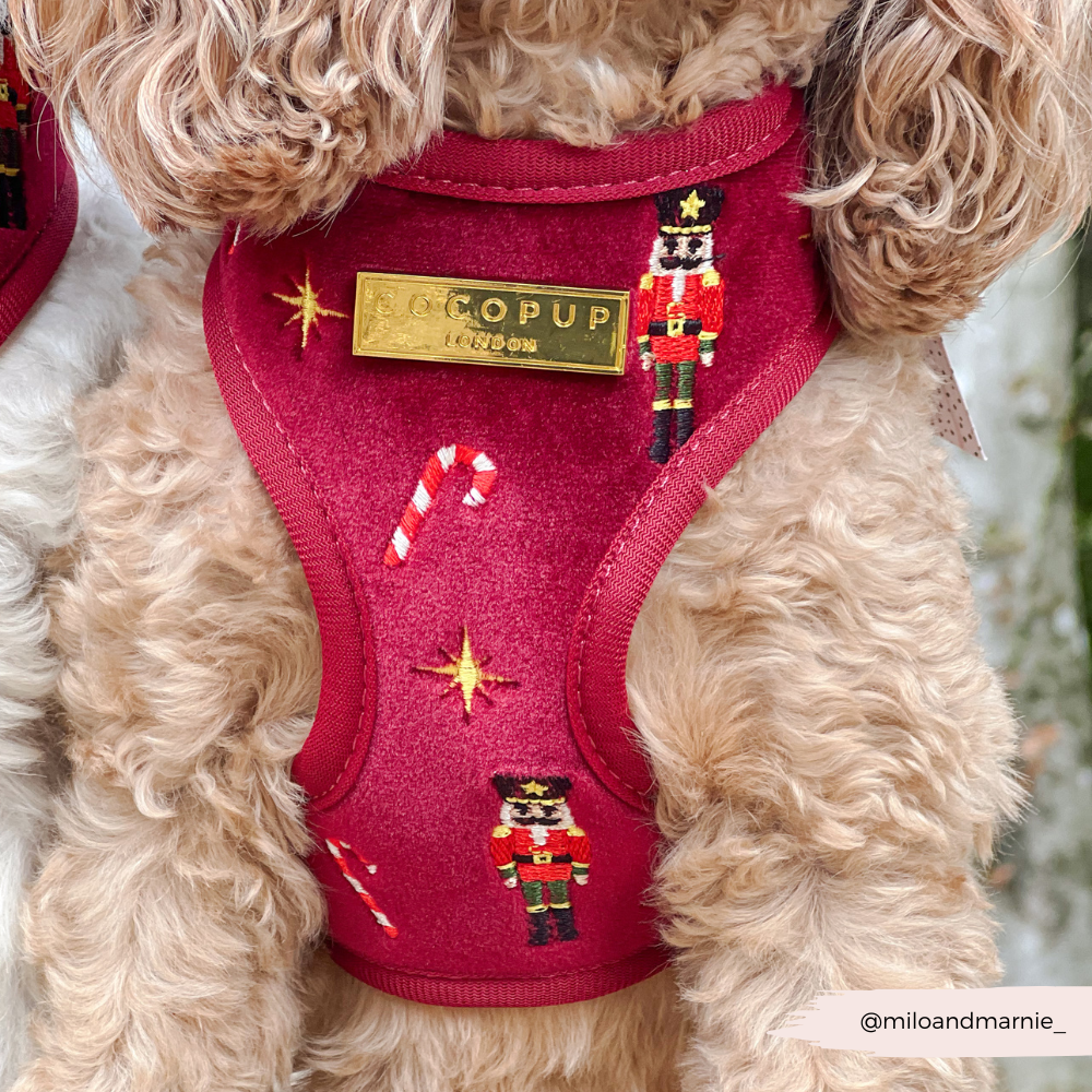 The Muttcracker Adjustable Neck Harness, Lead & Collar Bundle