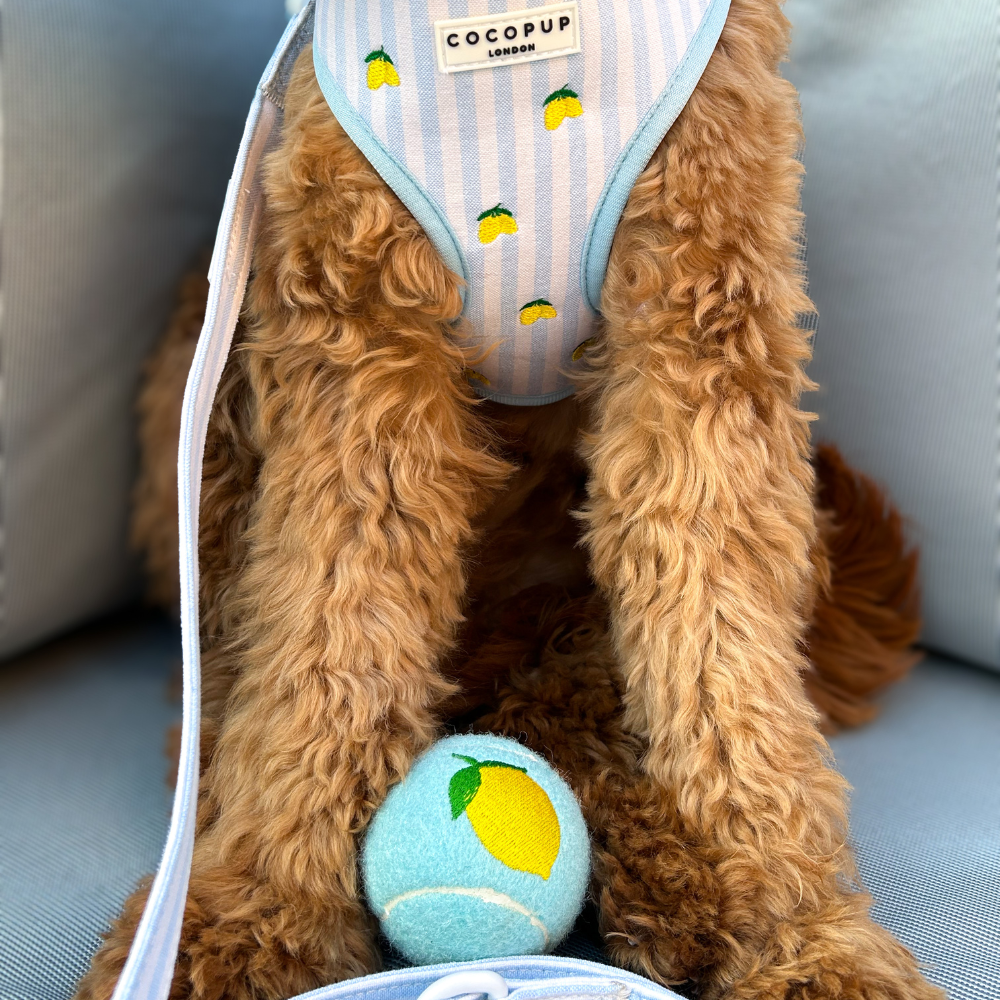 Embroidered Tennis Ball - Lemon