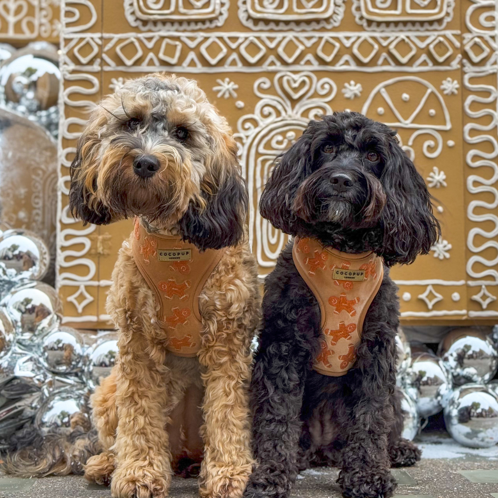 Luxe Velvet Adjustable Neck Harness - Gingerbread Treats