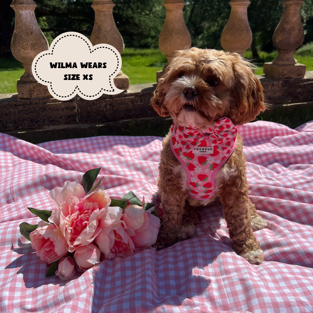 Pupberry Fields Sailor Bow Tie