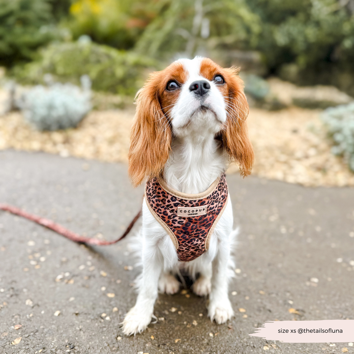 Quilted Leopard Pup Adjustable Neck Harness