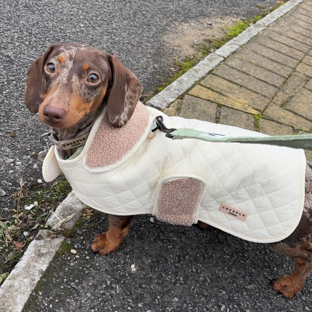 LUXE Quilted Dog Coat - Creamy Chai