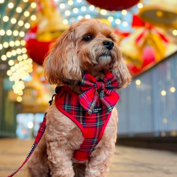 Tartan Adjustable Neck Harness