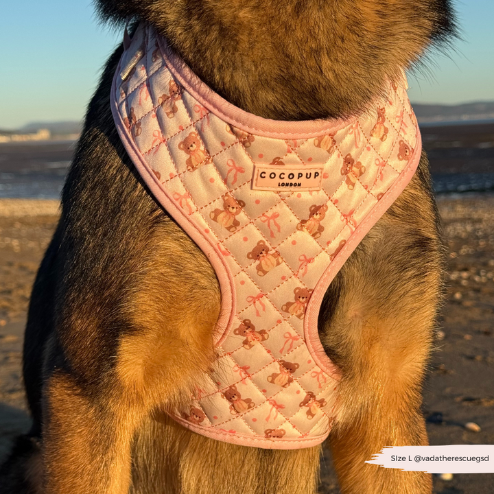 Quilted Thea Teddy Adjustable Neck Harness