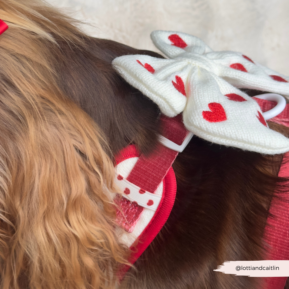 Hugs & Knitted Sailor Bow Tie