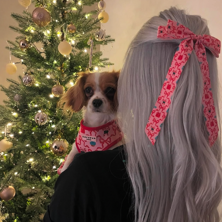 Pupmas Kisses Ribbon Bow Clip - By Coconut Lane