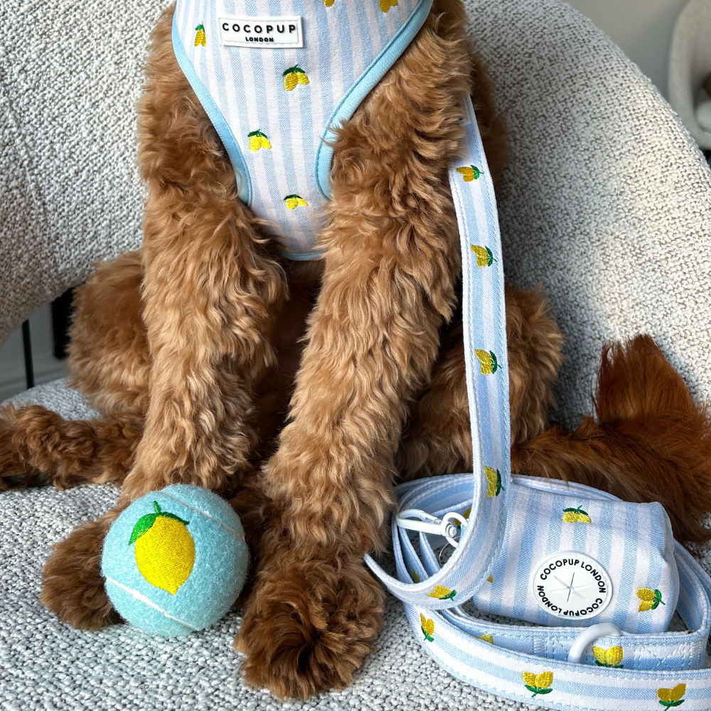 Embroidered Tennis Ball - Lemon