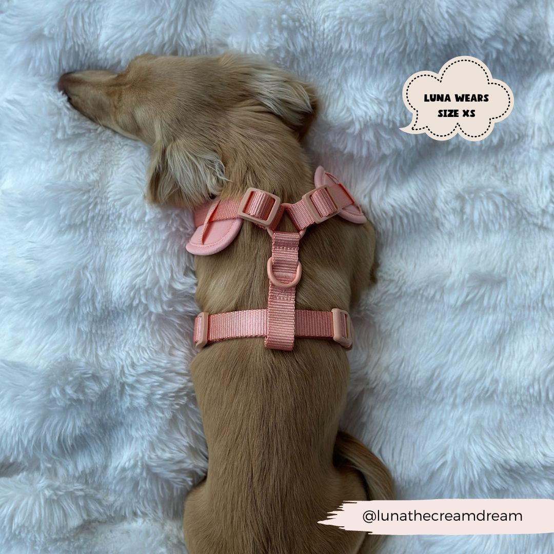 NAKD Adjustable Neck Harness - Peach Floof