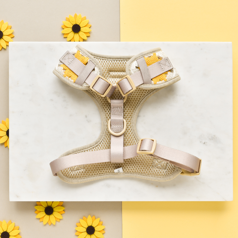 A stylish "Sunflower Patch" Adjustable Neck Harness by Cocopup London, featuring beige and yellow tones with mesh padding, lies on a white surface surrounded by small decorative sunflower ornaments. The light brown adjustable straps and buckles ensure a comfortable fit, while the overall aesthetic is both cheerful and warm.