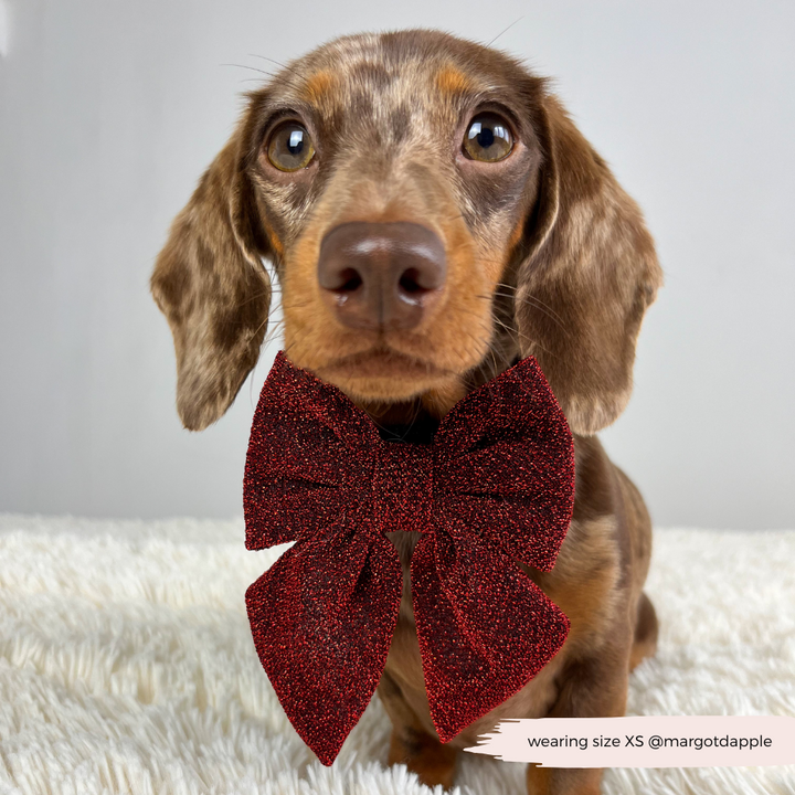 Limited Edition Burgundy Sparkle Pup Sailor Bow Tie