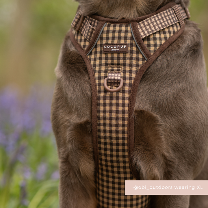 Explore Harness - Cotswold Check