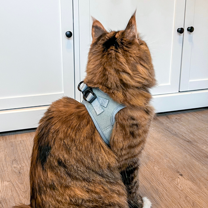 Cat Harness - Sage Tweed