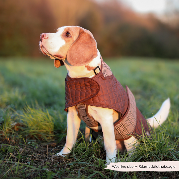 LUXE Quilted Dog Coat - Pup Plaid