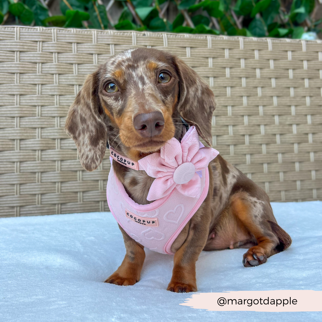 LUXE Baby Pink Heart Collar Flower