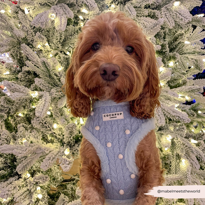 Snowpaws Adjustable Neck HARNESS